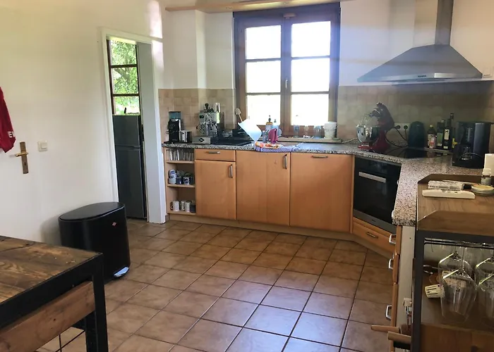 بيت للعطل Haus Muehlstein